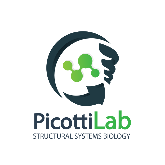 Picotti Lab Logo